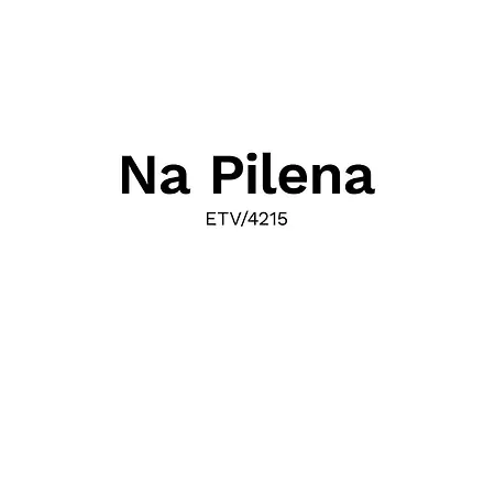 Na Pilena Casa de Férias