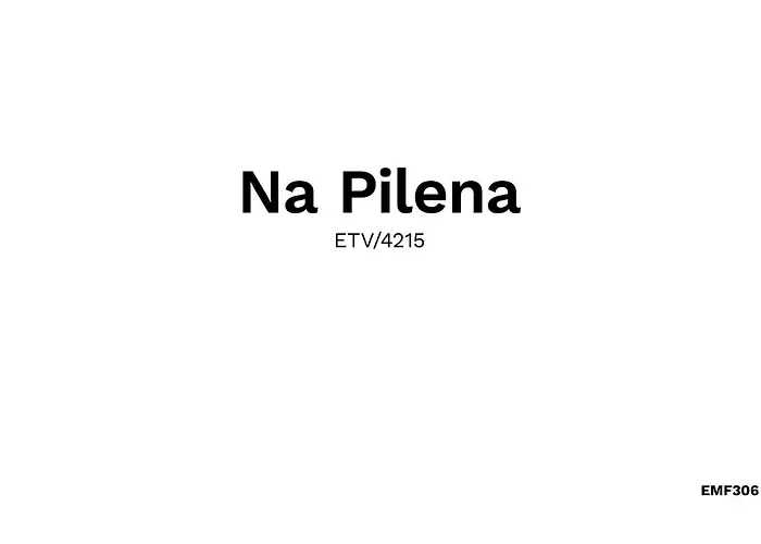 Na Pilena בית נופש